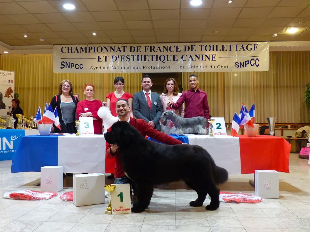 Premier prix Championnat de France de toilettage et d'esthétique canine