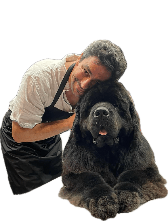Toilettage chiens et chats à Nantes - Excalicwouaf Cyril Guérillon